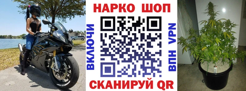 Виды наркотиков купить Новороссийск Alpha PVP  Бутират  ГАШИШ  Каннабис  COCAIN  Меф 