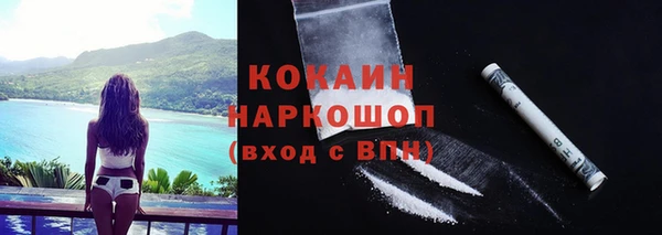 сатива Аркадак