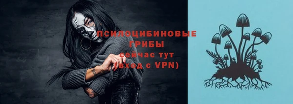 экстази Арсеньев