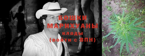 прущий лед Алзамай