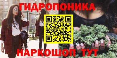 a pvp Кимры