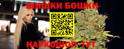 мет Кингисепп
