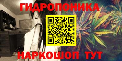 мет Кингисепп