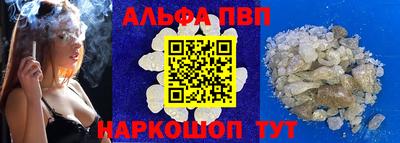 мет Кингисепп
