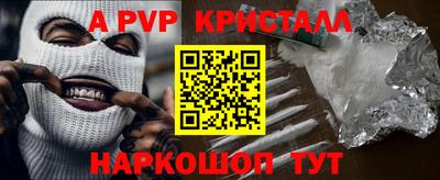 мет Кингисепп