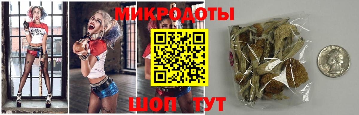 Галлюциногенные грибы ЛСД  Вход с VPN  Новороссийск 